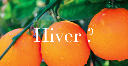 Aliments Minceur de l’Hiver – Mini Mag